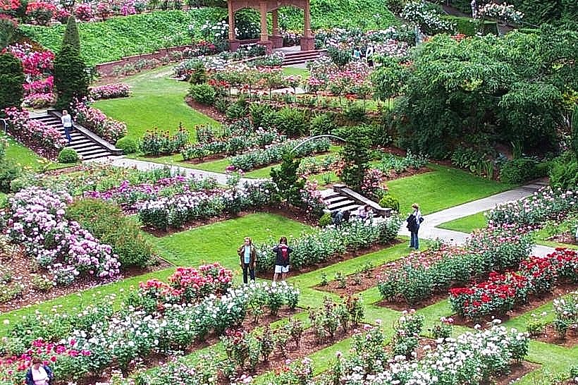International Rose Test Garden