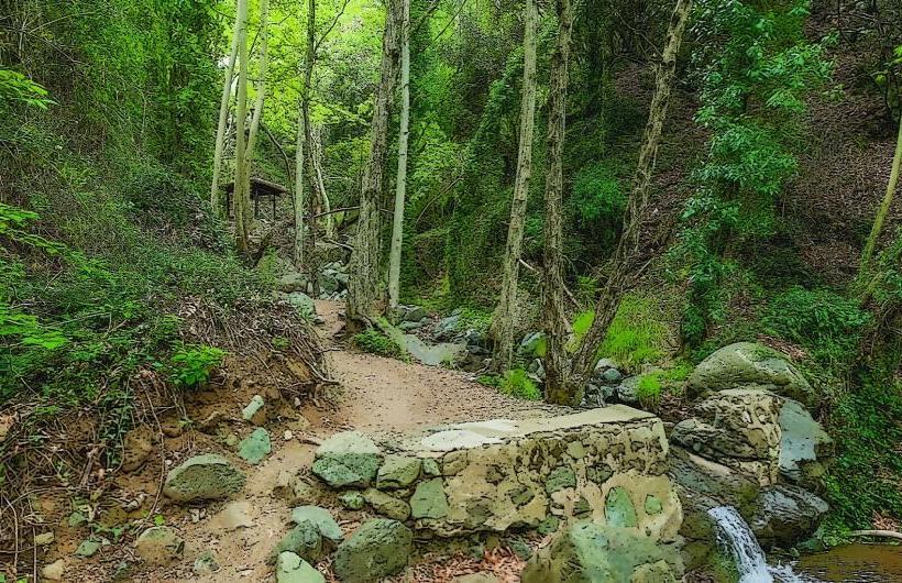 Troodos National Forest Park