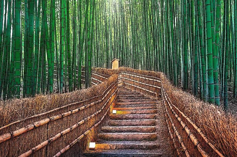 Arashiyama Bamboo Grove