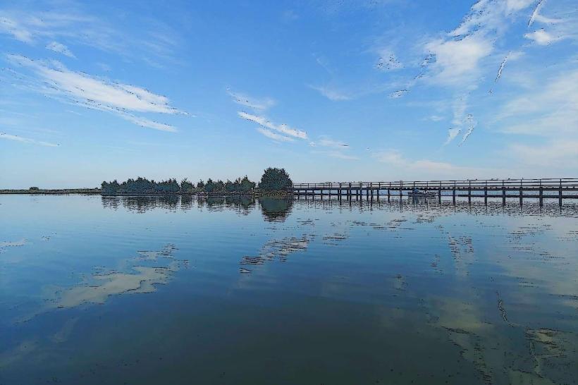 Deal Island Wildlife Management Area
