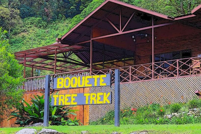 Boquete Tree Trek