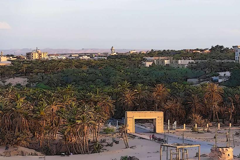 Tozeur Palm Grove