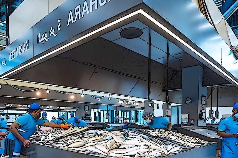 UAQ Fish Market