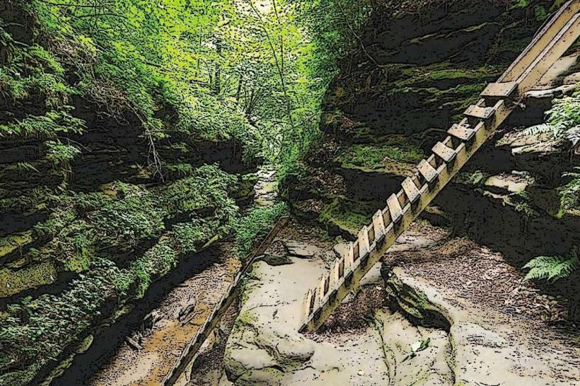 Turkey Run State Park