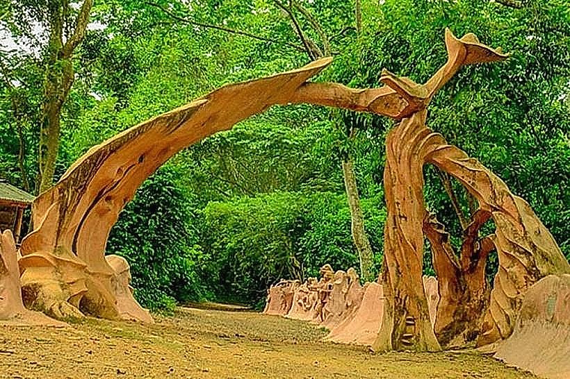 Issouka Sacred Grove