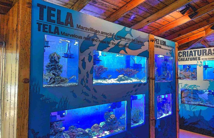 Tela Marine Aquarium