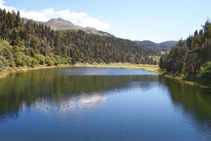 Parque Nacional Sierra Nevada