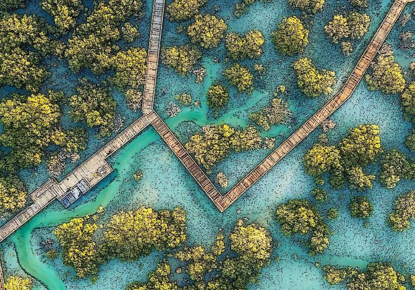 Mangrove National Park