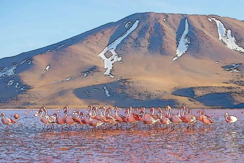 Reserva de Fauna de Eduardo Avaroa