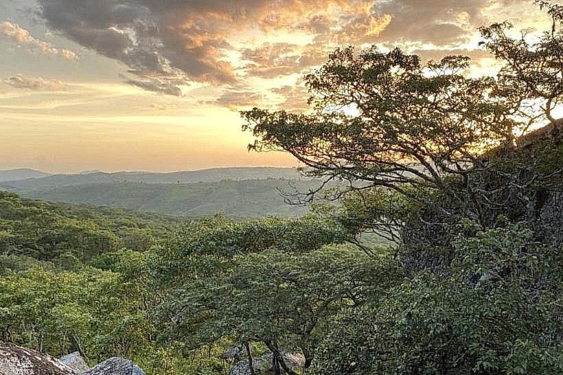 Ntchisi Forest Reserve