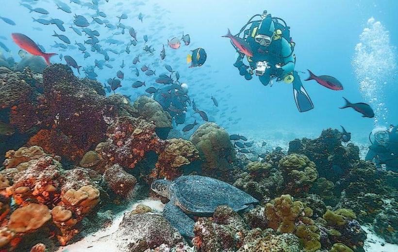 Freeport Diving & Snorkeling