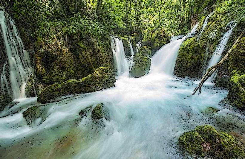White Drin River Springs