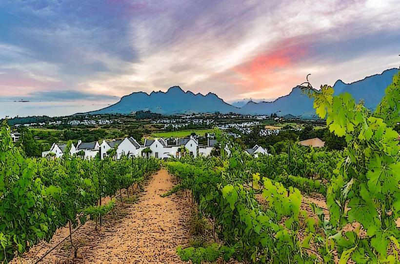 Stellenbosch