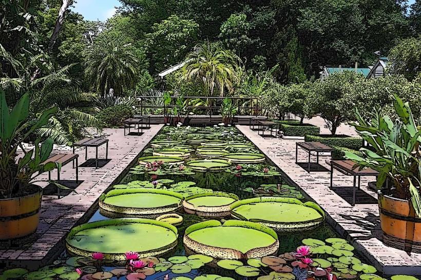Stellenbosch Botanical Gardens