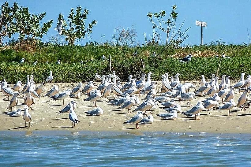 Langue de Barbarie National Park