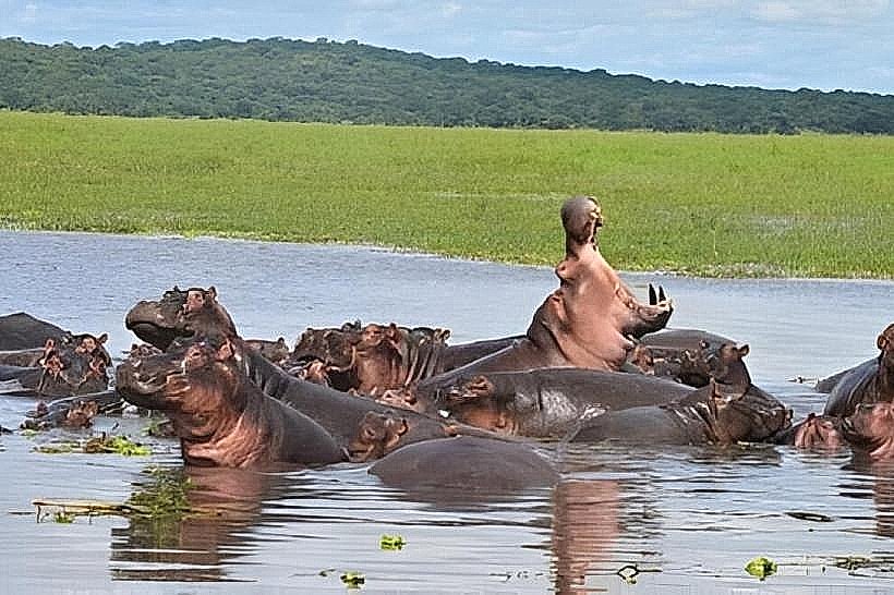 Rusizi National Park