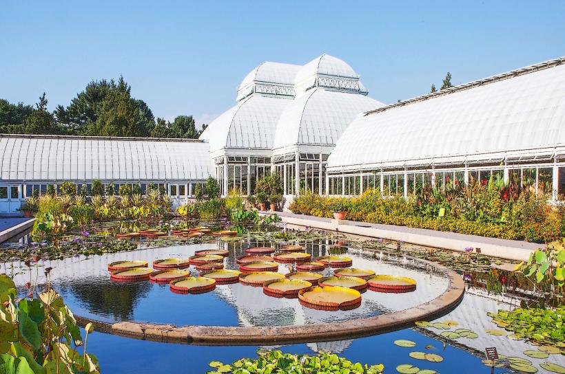 New York Botanical Garden