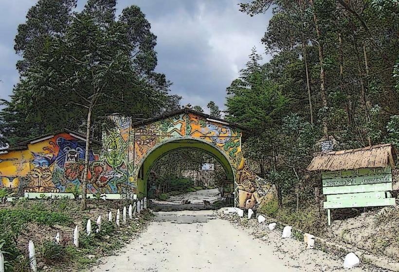 Podocarpus National Park