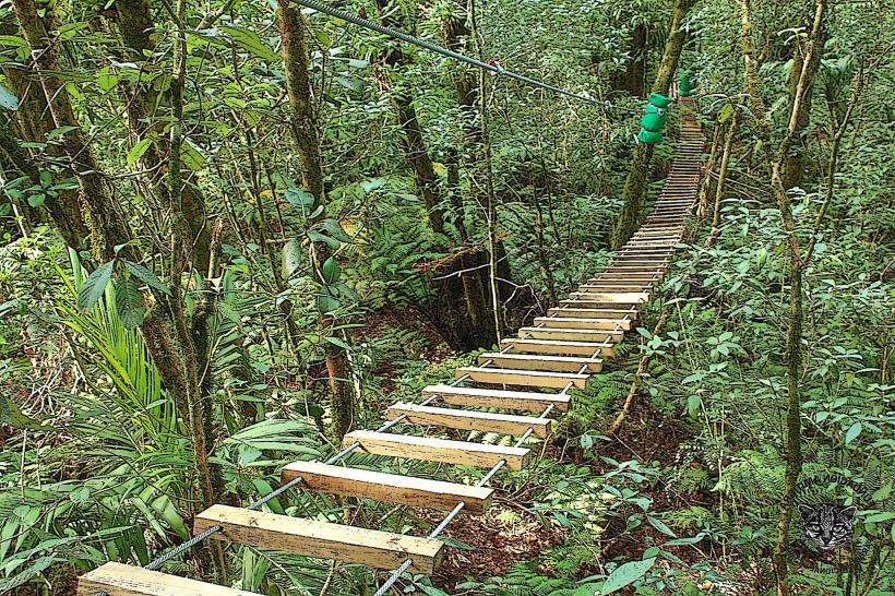 El Picacho National Park