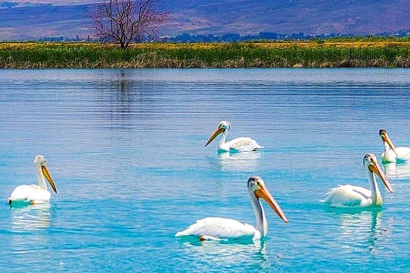 Bear Lake National Wildlife Refuge