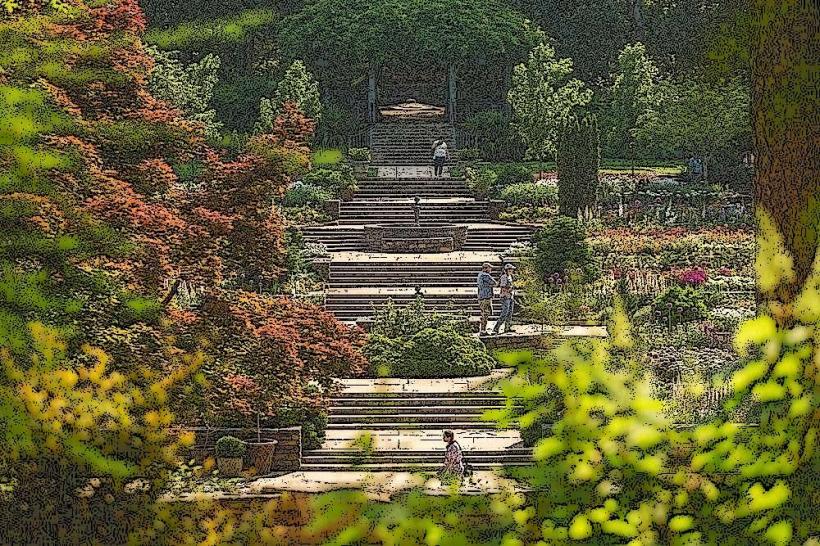 Sarah P. Duke Gardens