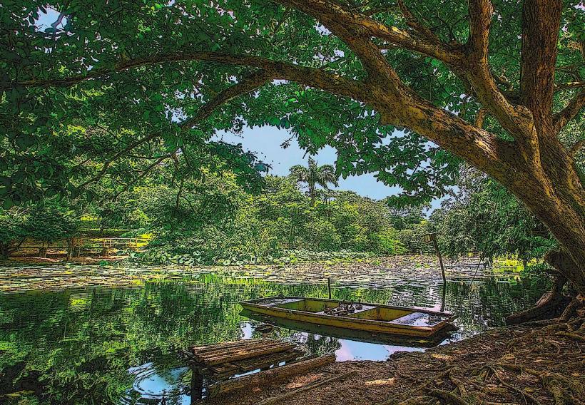 Bush Bush Wildlife Sanctuary