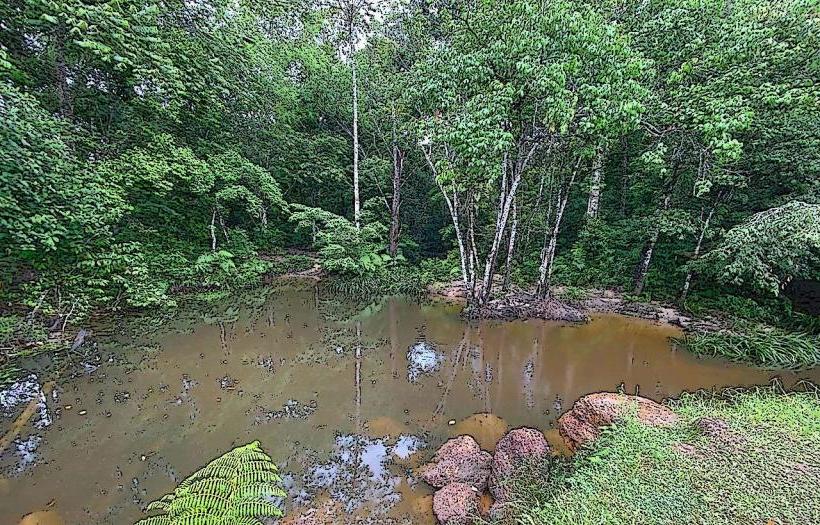 Parc Naturel de Kourou