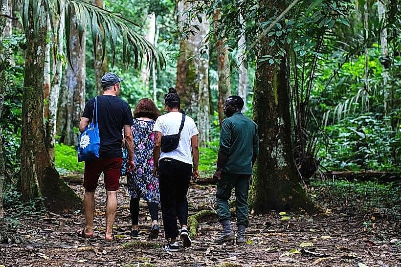 Mbalmayo Forest Reserve