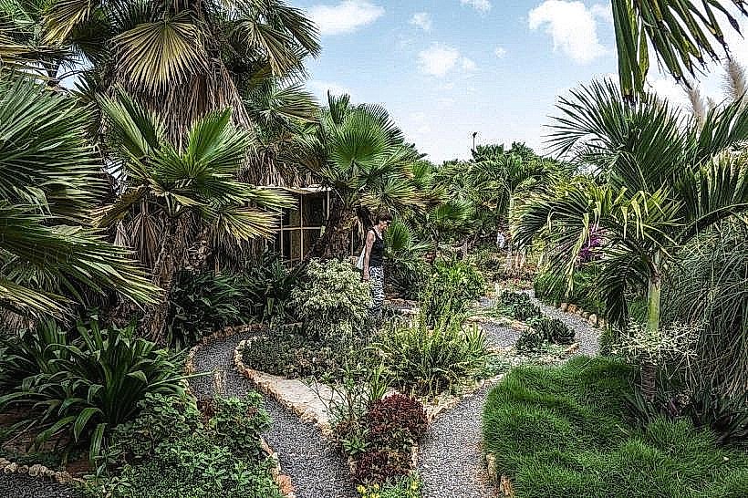 Viveiro Botanical Garden