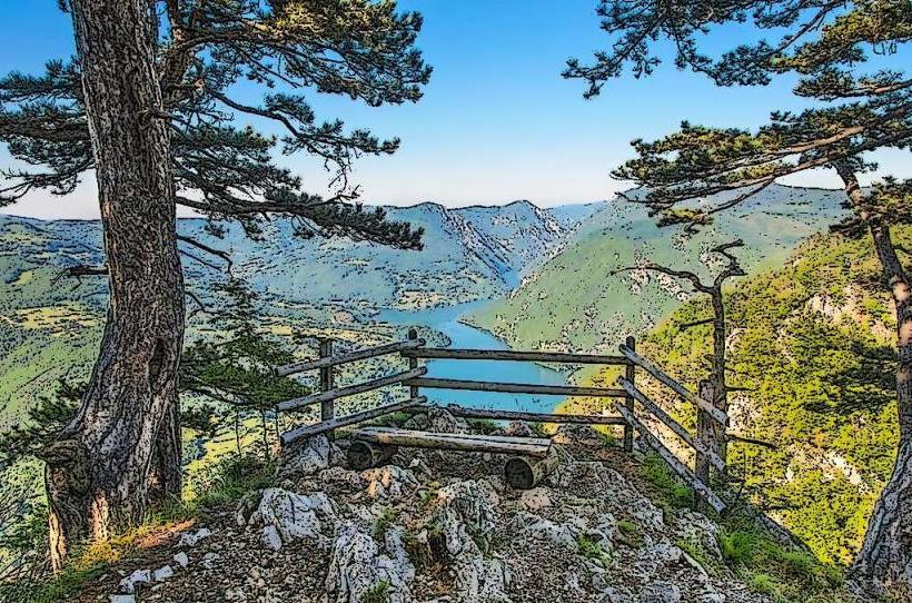 Tara National Park (Bajina Bašta)