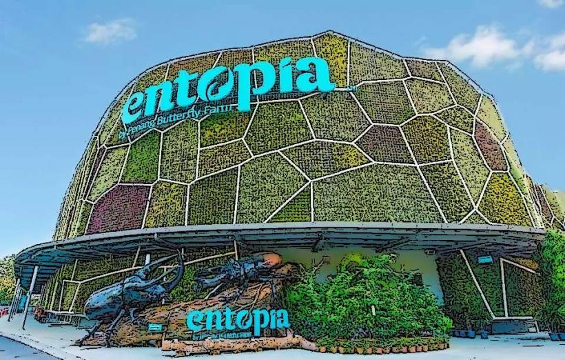 Entopia Butterfly Farm