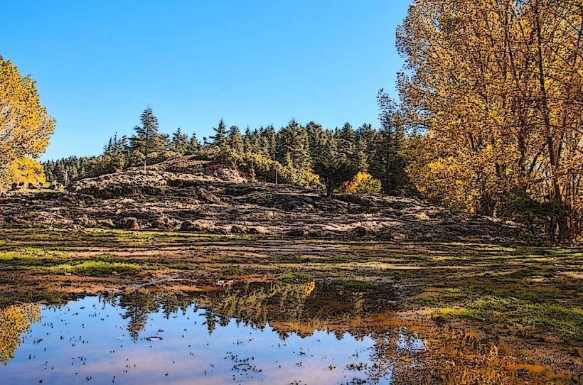 Ifrane National Park
