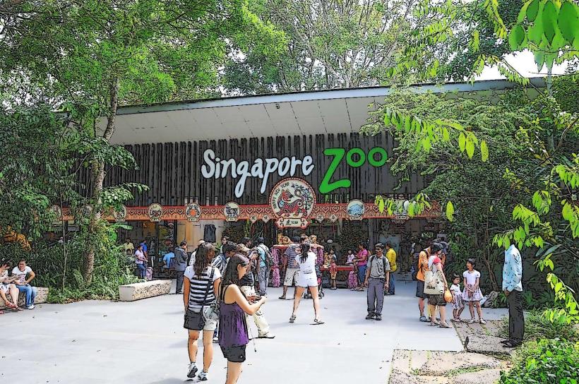 Singapore Zoo