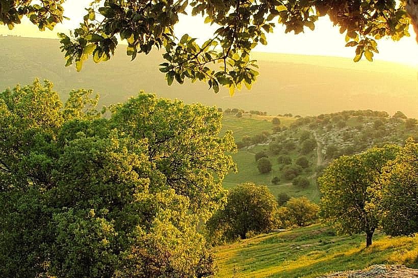 Ajloun Forest Reserve