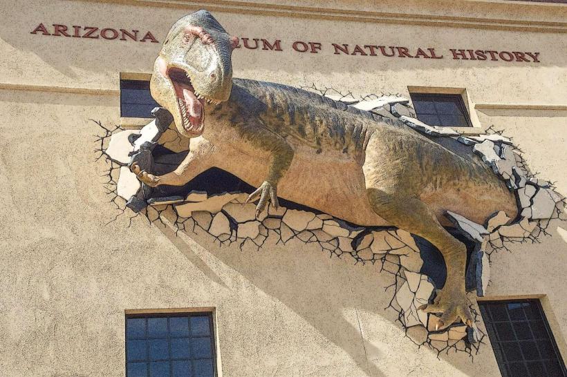 Arizona Museum of Natural History