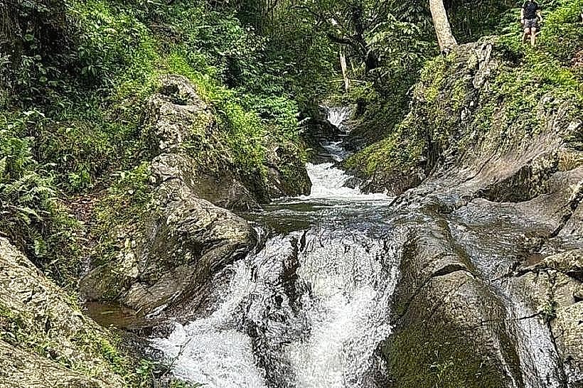 Waitavala Natural Waterslide