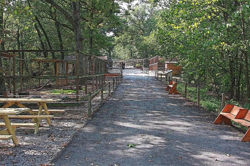 World Bird Sanctuary