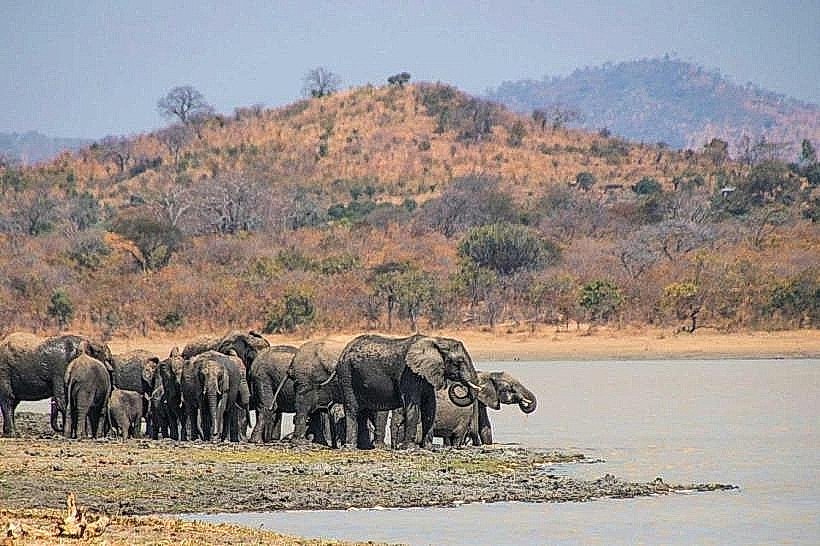 Thangadzi River Conservancy