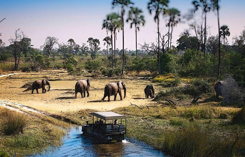 Tarangire National Park