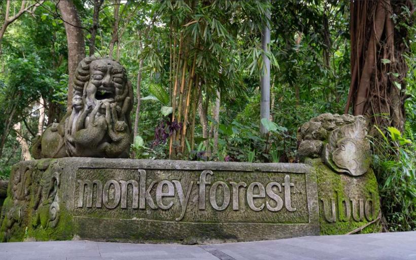 Sacred Monkey Forest Sanctuary