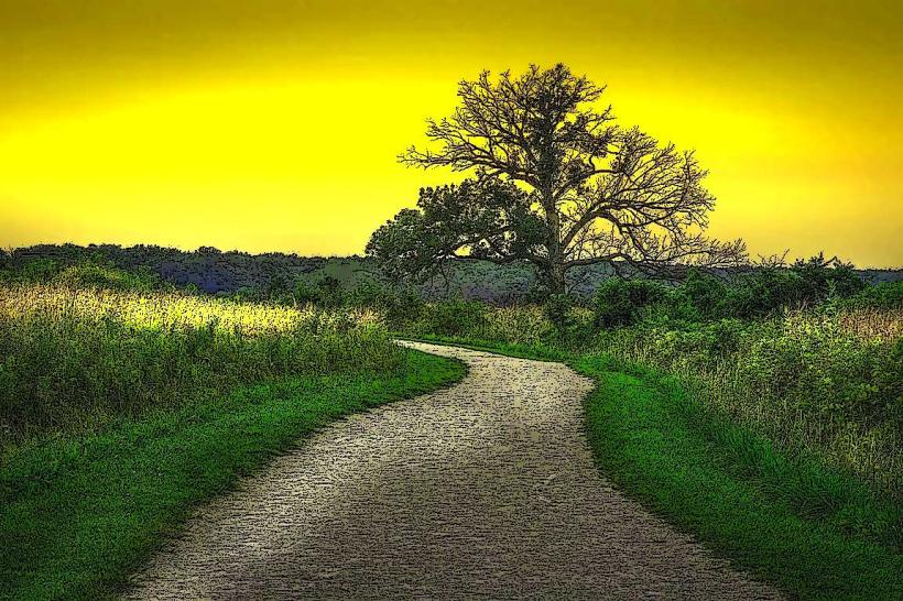 Black Road Prairie Nature Preserve