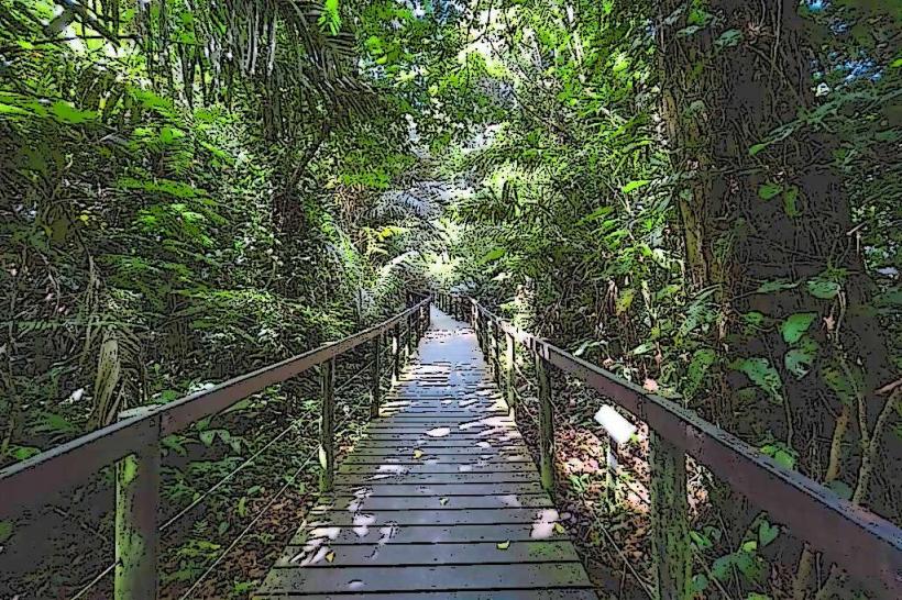 Cahuita National Park