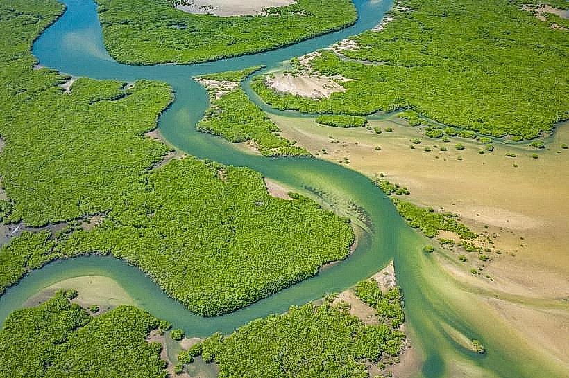 Saloum Delta National Park