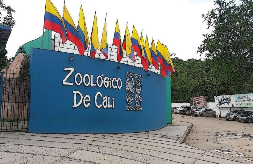 Cali Zoo