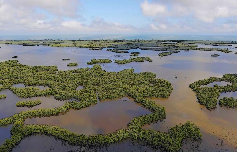 Rookery Bay National Estuarine Research Reserve
