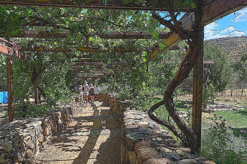 Page Springs Cellars