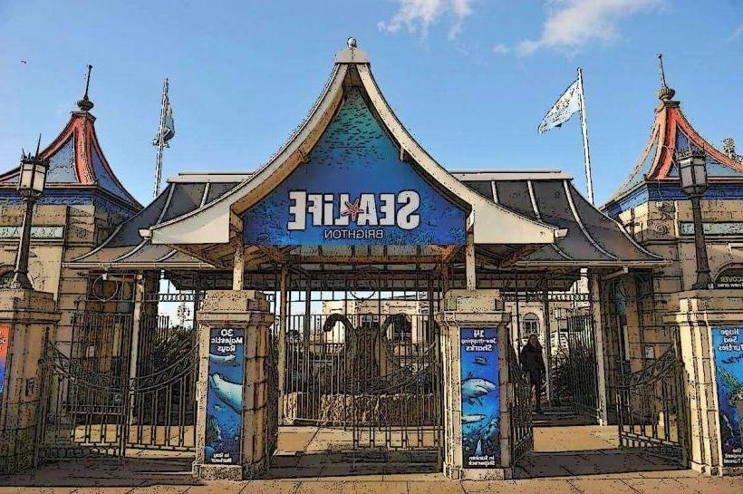 Sea Life Brighton