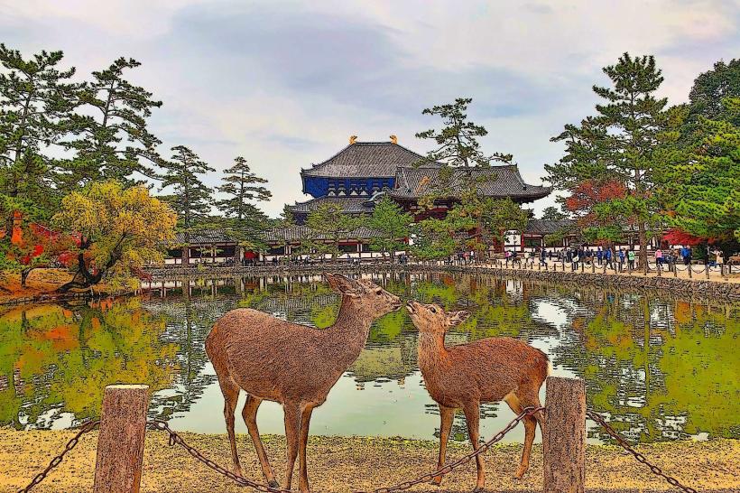 Nara Park