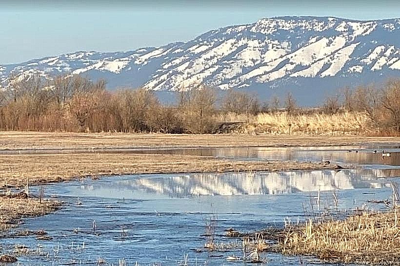 Ladd Marsh Wildlife Area