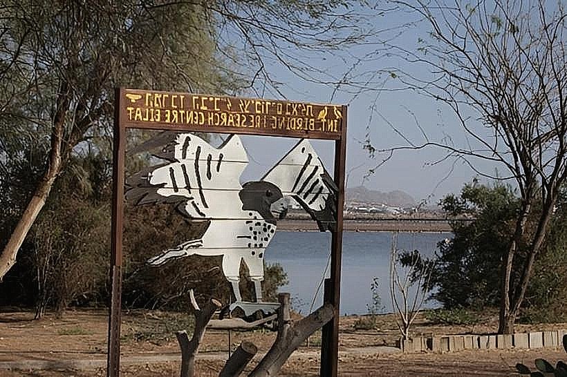 Bird Watching Center